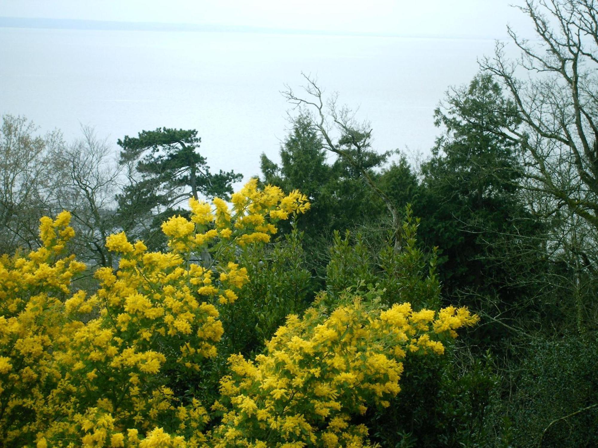 Gite La Bertichere 3 Etoiles Saint-Jean-le-Thomas Εξωτερικό φωτογραφία